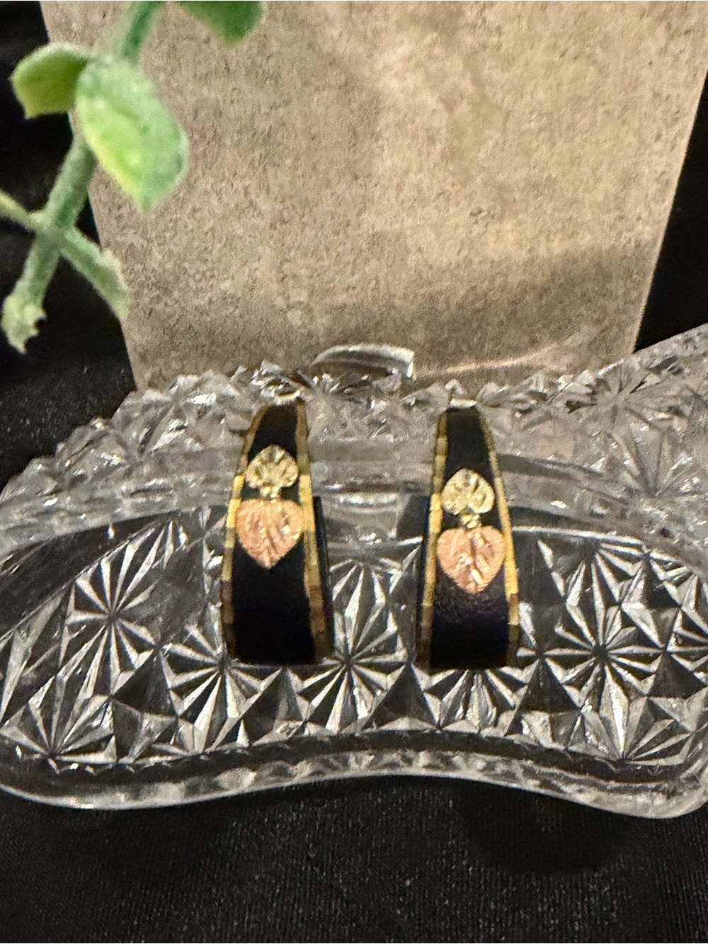 Black Hills Gold Black Powder Coated Half Hoop Earrings